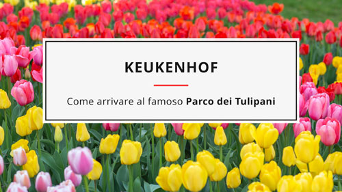 Keukenhof: come arrivare al famoso Parco dei Tulipani da Amsterdam