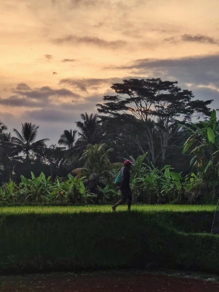 errori da non fare a bali guida